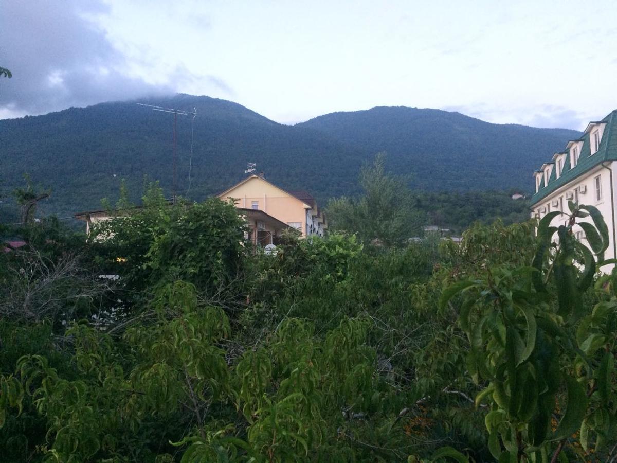 Guesthouse Mira Gagra Exteriér fotografie
